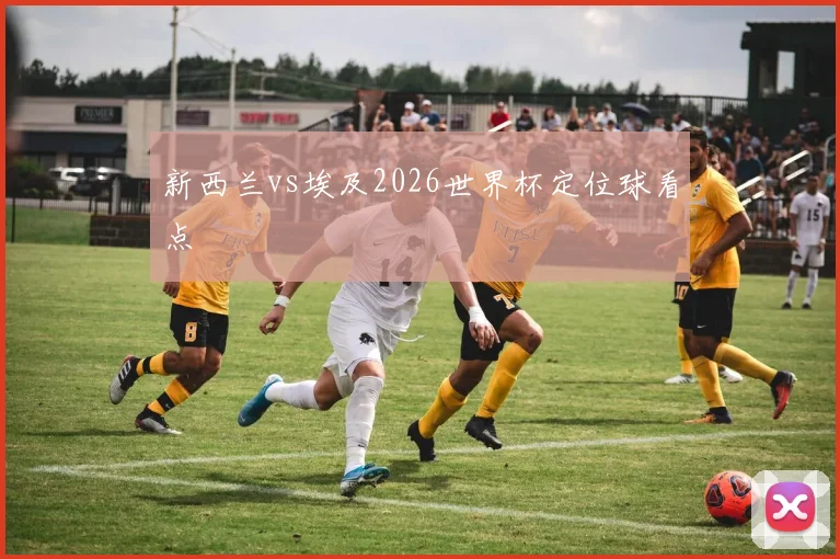 新西兰vs埃及2026世界杯定位球看点