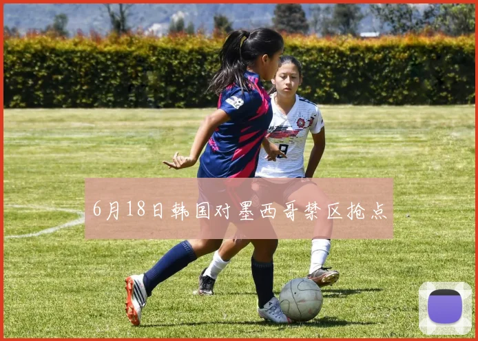 6月18日韩国对墨西哥禁区抢点